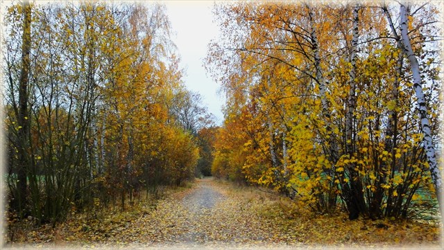 Stará silnice na podzim