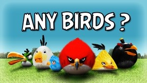 ANY BIRDS? (Logo)