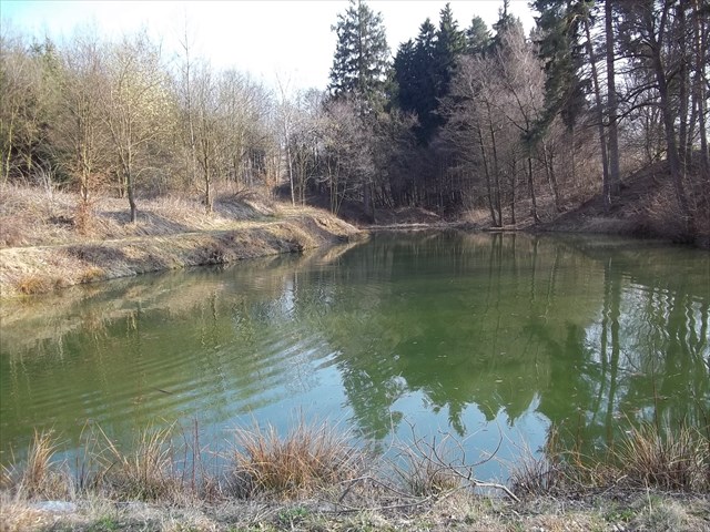 rybník