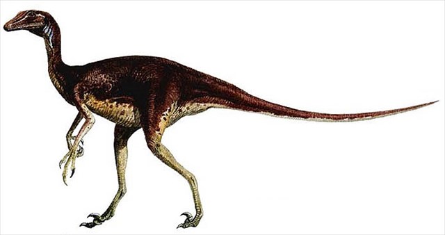 Stenonychosarus
