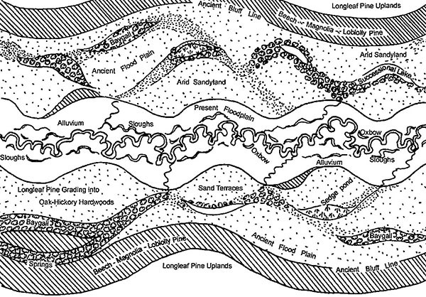 Stream Geology