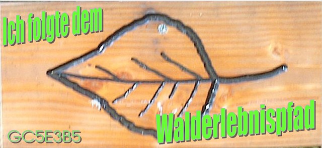 Walderlebnispfad Birkenfeld