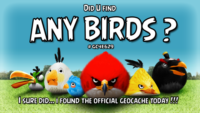 I found "ANY BIRDS?" (banner)