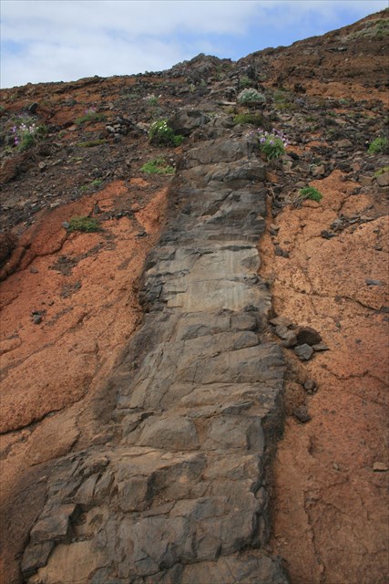 Photo 1 : a dike near the path