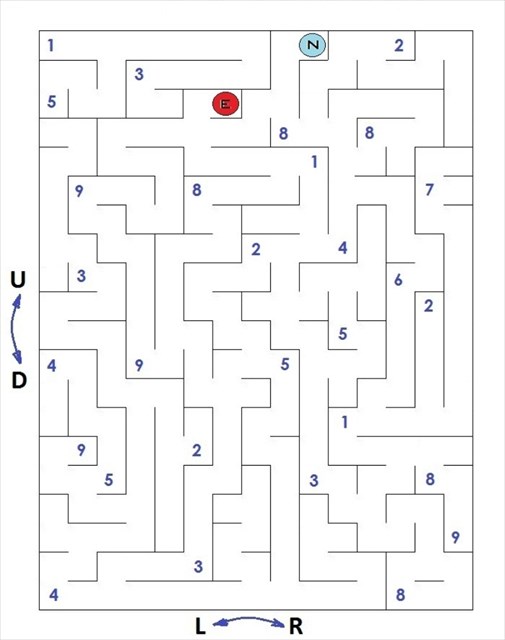 The Mystery Maze