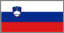 Slovenian flag