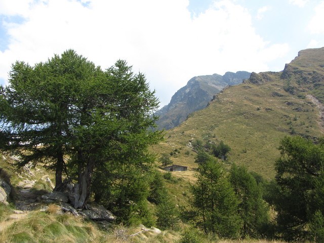 Alpe Agrogno alto