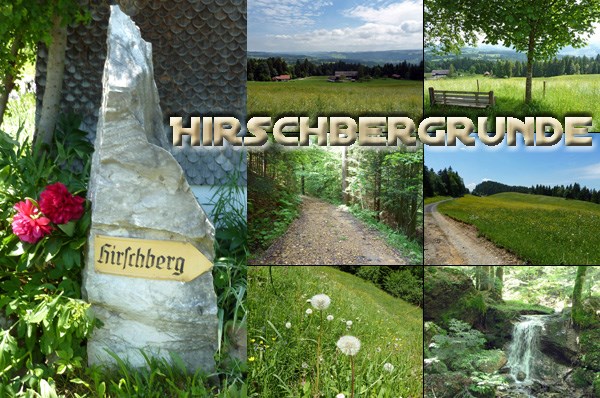 Hirschberg_Logo