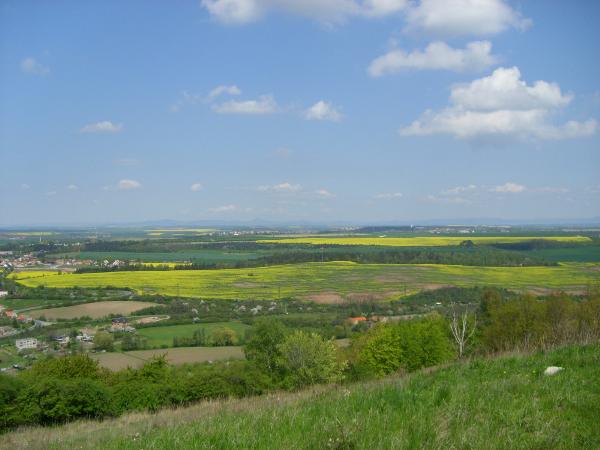 View towards North. Photo by witchery Team, May 2008.