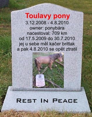 10_Toulavy pony