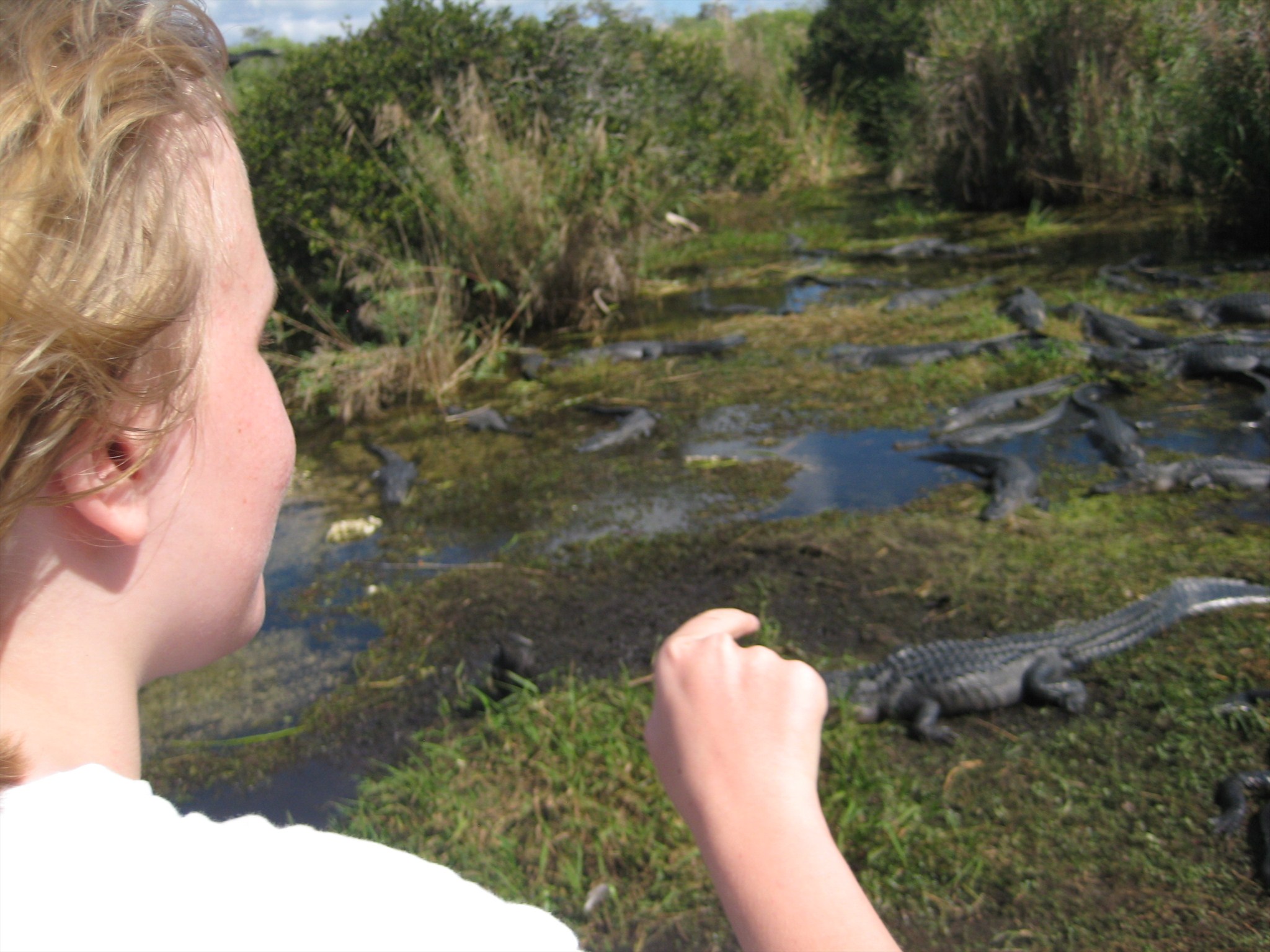Counting some of the Everglades' natural residents. Photo by geocacher lilyfly.
