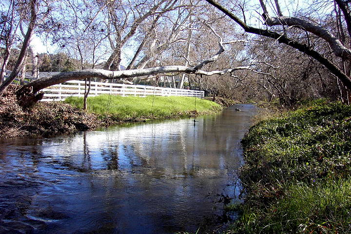 Alamitos Creek