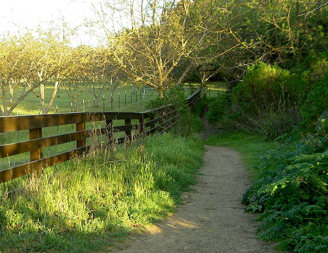 Calero Creek Trail by the IBM orchard