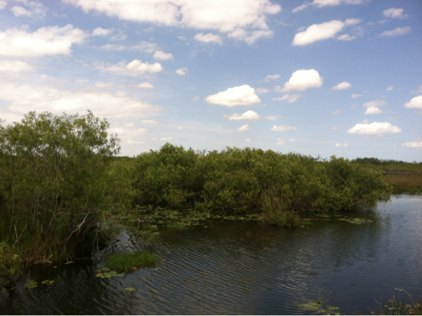 A nice view of the Everglades. Photo by geocacher JunglePete.