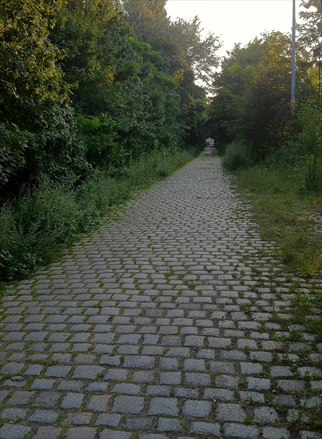 An old stone road that leads to the geocache. Photo by geocacher Ezh_gps