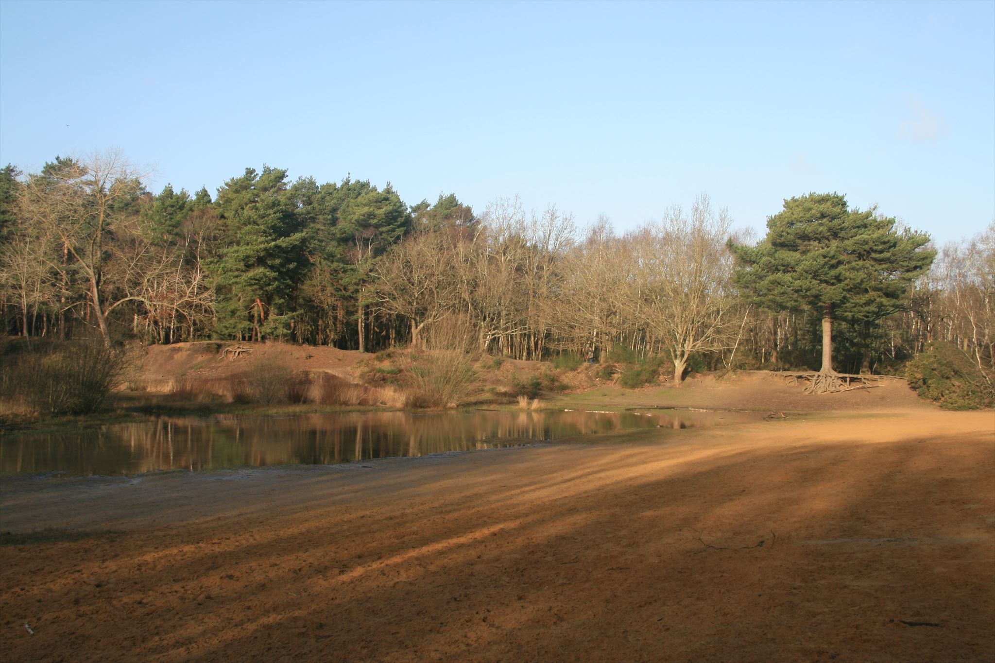 5. The Sandpit on Horsell Common