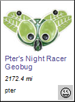 Pter's Night Racer Geobug