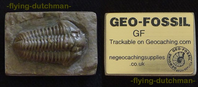 Geo-Fossil - Trilobite
