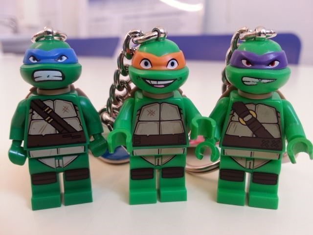 Leonardo and his brothers