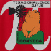 13th Annual TXGA Texas Challenge