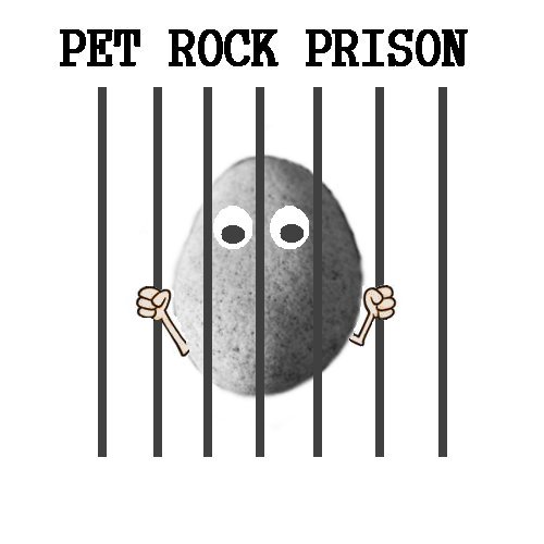 Image result for pet rock prison