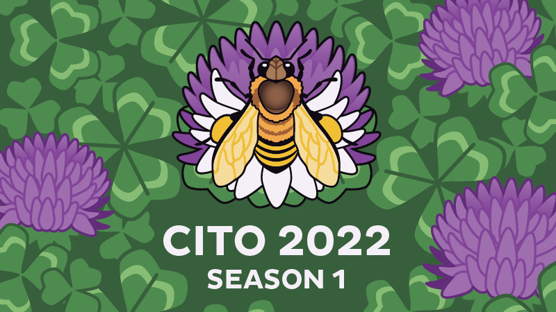 Bild för CITO säsong 1 2022
