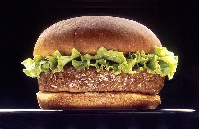 This image is a work of the National Institutes of Health, part of the United States Department of Health and Human Services. As a work of the U.S. federal government, the image is in the public domain. - https://de.wikipedia.org/wiki/Datei:Hamburger_(black_bg).jpg