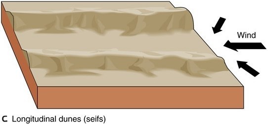 Dunes en forme longitudinales