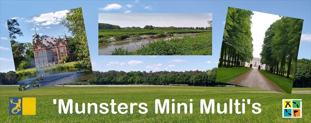 Munster Mini Multi banner