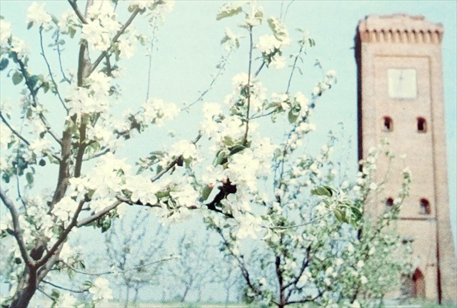 Gutswasserturm 1963