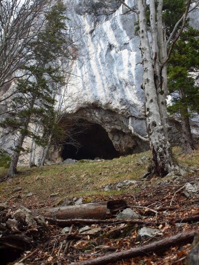 Kamniška jama