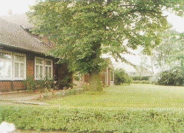 Verwaltungssitz des Kartoffelinstituts um 1980