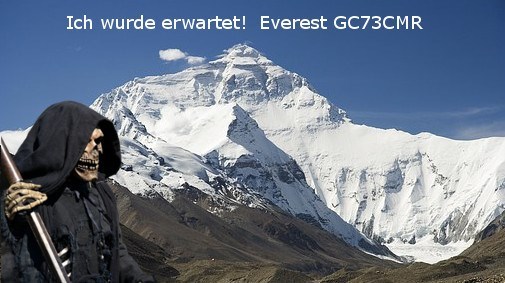 Everest Banner