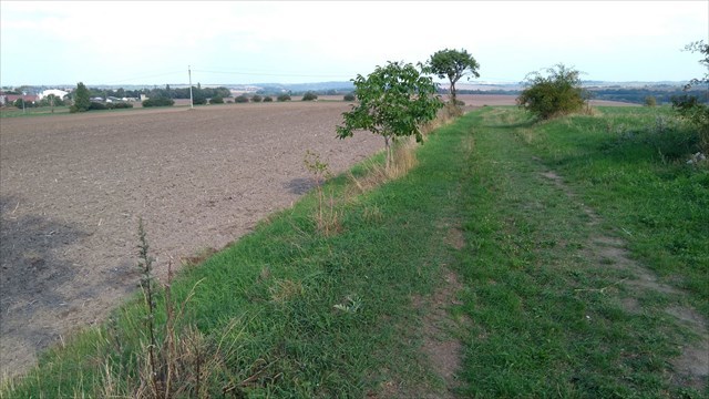 Krajina po cestě. - Landscape along the route. (photo by Toniczech, August 2019)