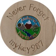Never Forget Top Cache Geocoin