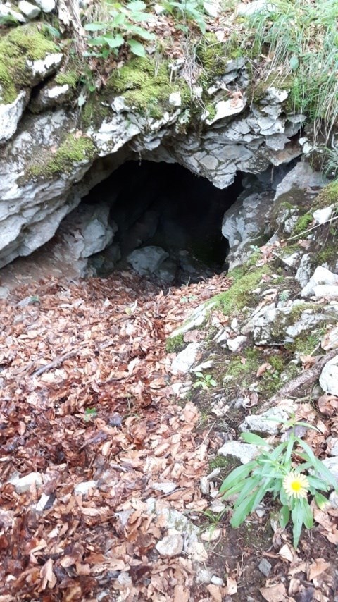 Osrednji del rudnika