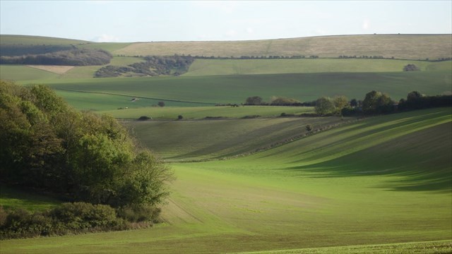 South Downs Notional Park