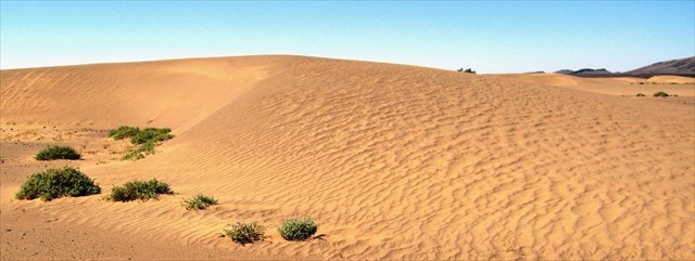 Dunes of Fezzou