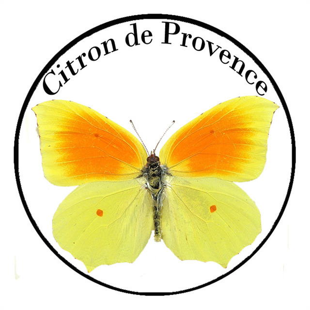 Le citron de Provence