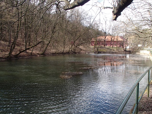 Pivovarský rybník.