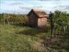GC2GE15 - A cottage in a vineyard 