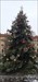 GCAG39H - Vánocní strom se tycí nad eventem
