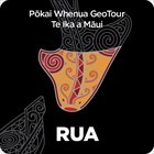 Tuia Mātauranga - Pōkai Whenua GeoTour: Rua Gallery