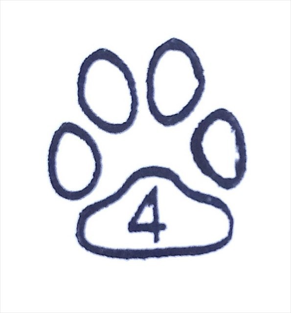 avatar de Les 4 et le chien