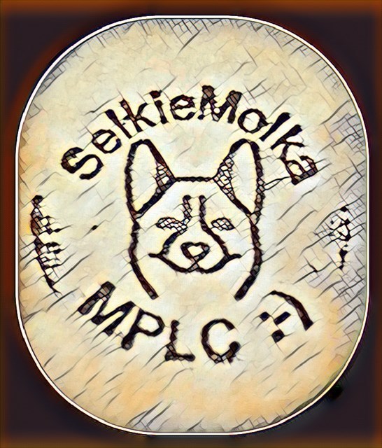 avatar de selkiemolka