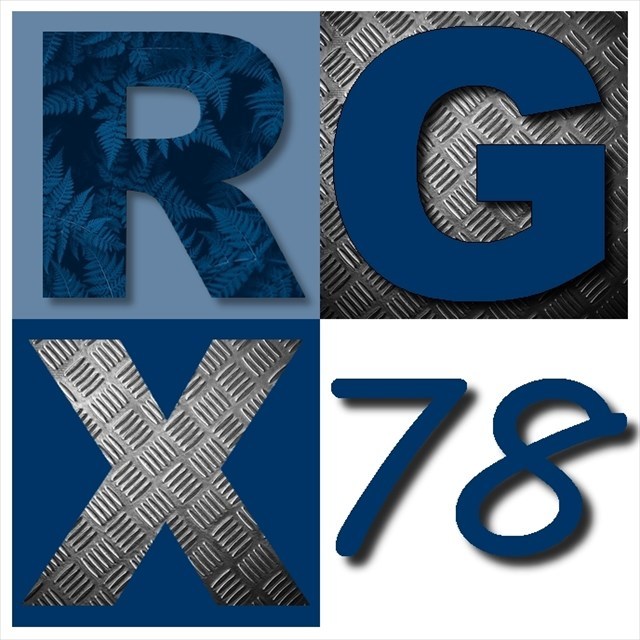 avatar de RGX78