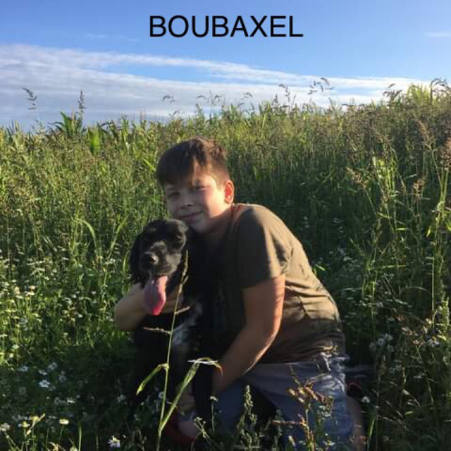 avatar de boubaxel