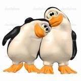 avatar de pingouinsdu45
