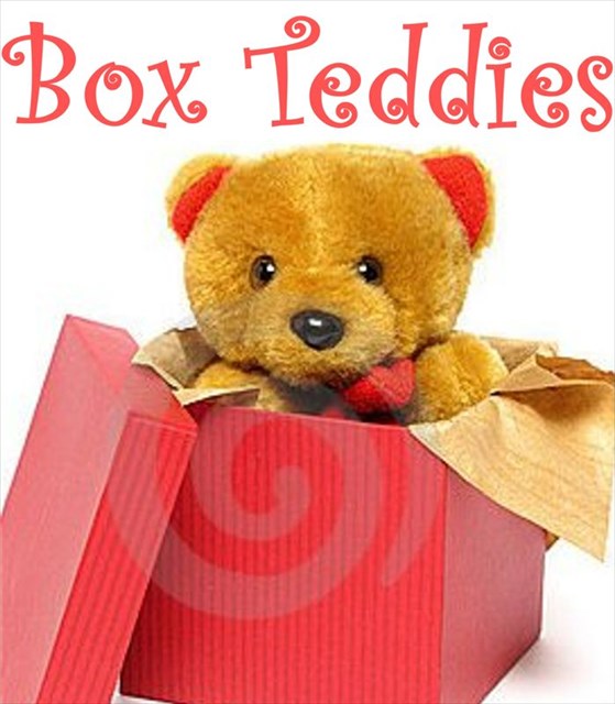 avatar de Box Teddies