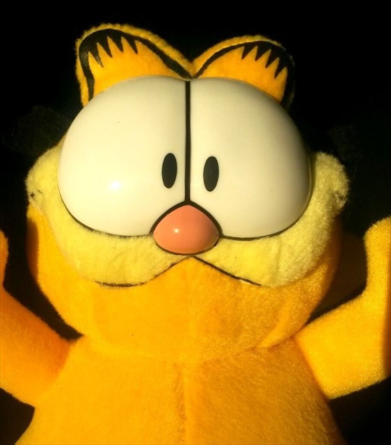 avatar de Garfieldo
